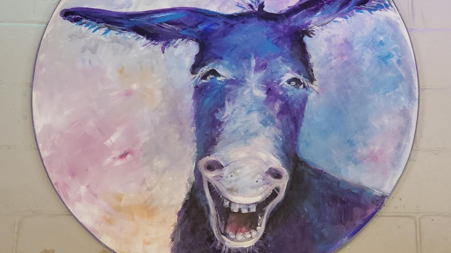 The Crazy Donkey Mexican Grill